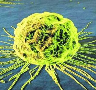 How to stop cancer growth?