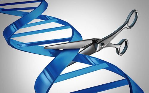 【Animal Modeling】-How to use CRISPR-Cas9 to construct a new animal model of a lethal virus?
